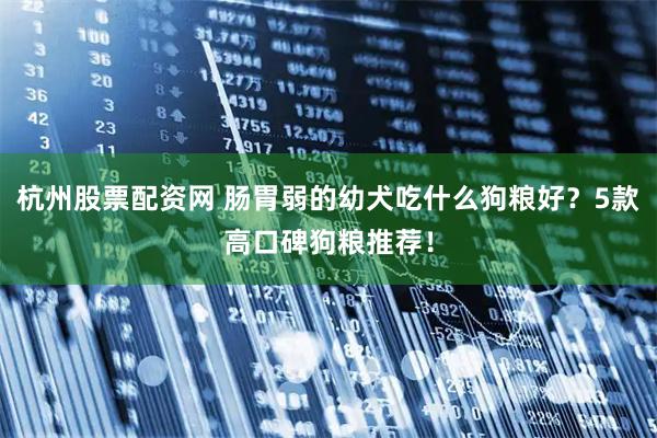 杭州股票配资网 肠胃弱的幼犬吃什么狗粮好？5款高口碑狗粮推荐！