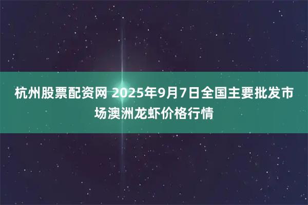 杭州股票配资网 2025年9月7日全国主要批发市场澳洲龙虾价格行情