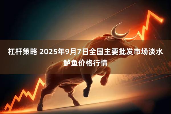杠杆策略 2025年9月7日全国主要批发市场淡水鲈鱼价格行情
