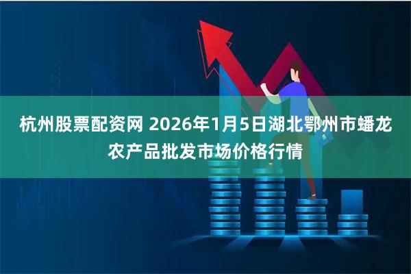 杭州股票配资网 2026年1月5日湖北鄂州市蟠龙农产品批发市场价格行情