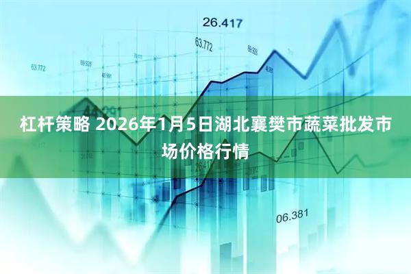杠杆策略 2026年1月5日湖北襄樊市蔬菜批发市场价格行情